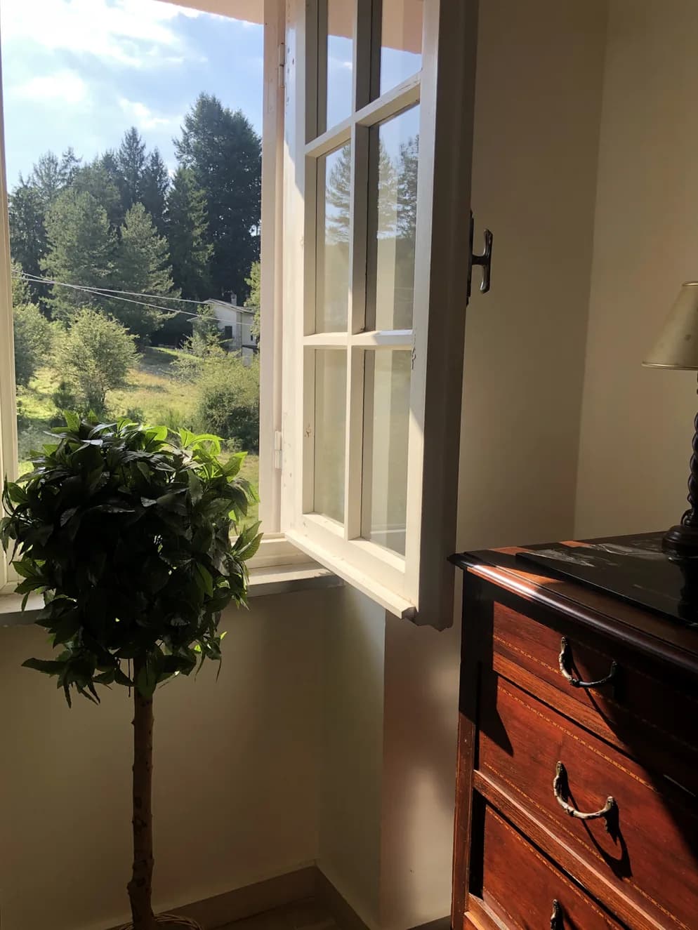 Galleria fotografica - 18